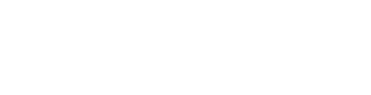 Zolidarity Logo
